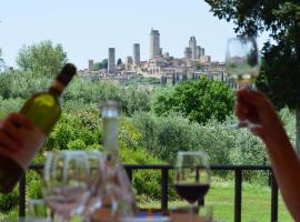 Tenuta Guardastelle - Agriturismo and vineyard，聖吉米納諾的農莊