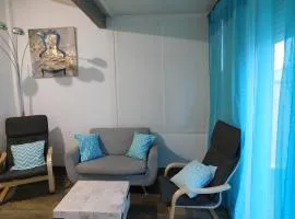 LA MAISON DU LAC climatisée et WiFi gd F3