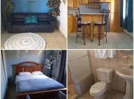 Departamento Irene