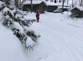 Beautiful lakeside Villa Vetoj&auml;rvi, hotel s bazenima u gradu 'Pennala'