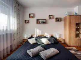 Apartamenty Bieszczady