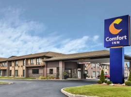 Comfort Inn: Windsor şehrinde bir otel
