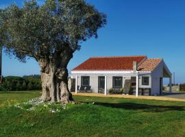 Kuanza Farmhouse and Lodge, farm stay in Zambujeira do Mar