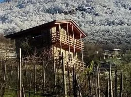 Una casa tra gli alberi