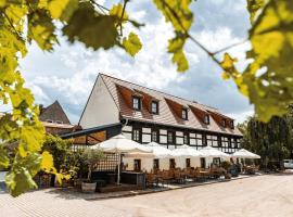 Weingut Schuh - Pension Zur Bosel, hotel em Coswig