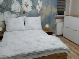 Apartamenty U Iwony Centrum miasta blisko Parku Zdrojowego