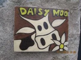 Daisy Moo