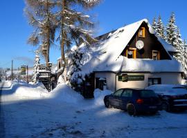 Landgasthof und Pension Erzgebirgsstübel, Hotel in Tellerhäuser