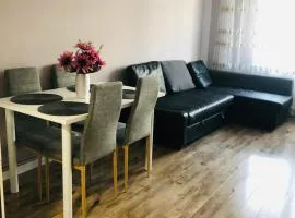 Sighisoara apartment