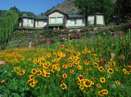 Shervani Hilltop Resort, neljatärnihotell sihtkohas Nainital