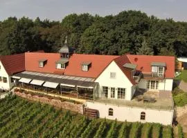 Pension Bella Vista - Winzerhof Golk