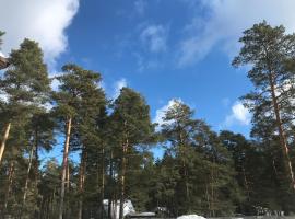 Отель на Cосновой