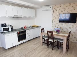 Apartament 11 Central, pet-friendly hotel in Târgu-Mureş