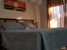 Departamento Tres Arroyos HORNERO I