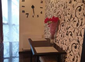Elena's Holiday Apartment, acomodação com cozinha em Kamianets-Podilskyi