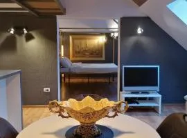 Amazing Savoya nr1 Loft Old City Center Self check-in
