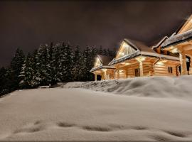 Zdrojowy Gościniec - domki Rabka-Zdrój, hotel v destinaci Rabka