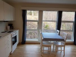 Seljord Apartment