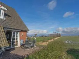 Friesenhaushaelfte Suederoog