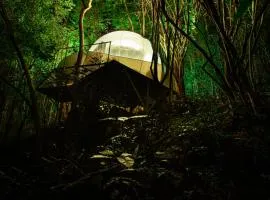 MAISONS BULLES Deluxe