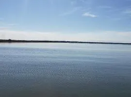 Tesla's Lake Escape