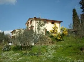 I 3 Cipressi