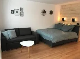Appartement Familie Willems Winterberg Am Waltenberg