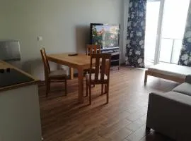 Komfortowy apartament dla turystów i pracowników