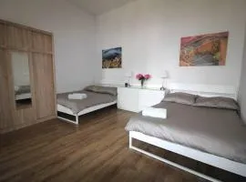 Simplicity Apartment - Lublin City Center