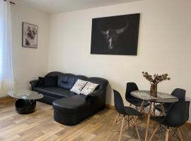 Černý Tulipán - Apartmán 2, hotel v Plzni