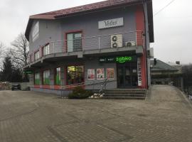 VOTIVI, apartment in Sanok