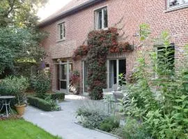 B&B Hedera