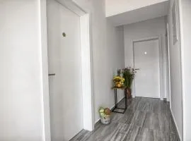 Rooms DRAGICA