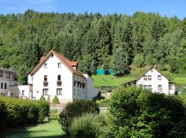 4 Sterne Ferienwohnung Sommerberg, cheap hotel in Rohrbach