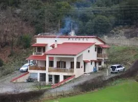 Michel Studios