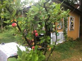 Apple tree cabin with river views, semesterboende i Avesta