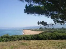 Tzanetos Seaside