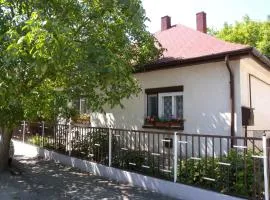Holiday home in Siofok - Balaton 38173