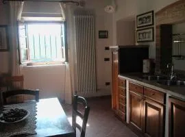 Apartments in Asciano - Toskana 24096