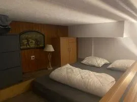 Résidence Belle Hutte 2