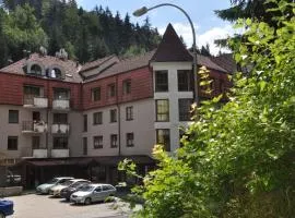 Apartments in Jachymov - Erzgebirge 33569