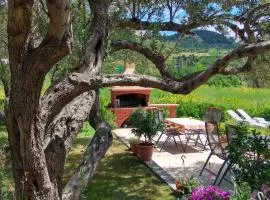 Apartment in Rab - Insel Rab 17563