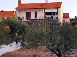Apartment in Stari Grad - Insel Hvar 6321