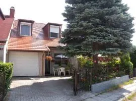 Apartment in Balatonalmadi - Balaton 17977