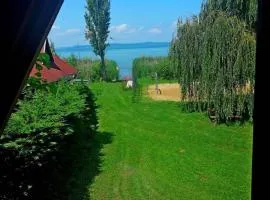Holiday home in Balatonszarszo 20093