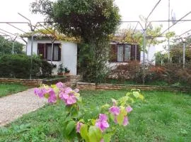 Holiday home in Fazana/Istrien 11242