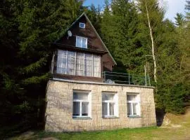 Holiday home in Harrachov 2311
