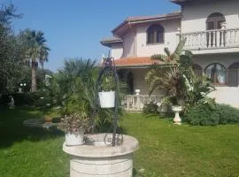 La Casa Delle Rose 1