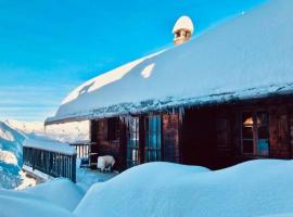 Magic Ski-In-And-Out Chalet above Verbier, ski resort in Bagnes
