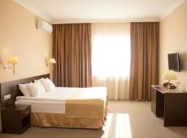 Hotel Aner